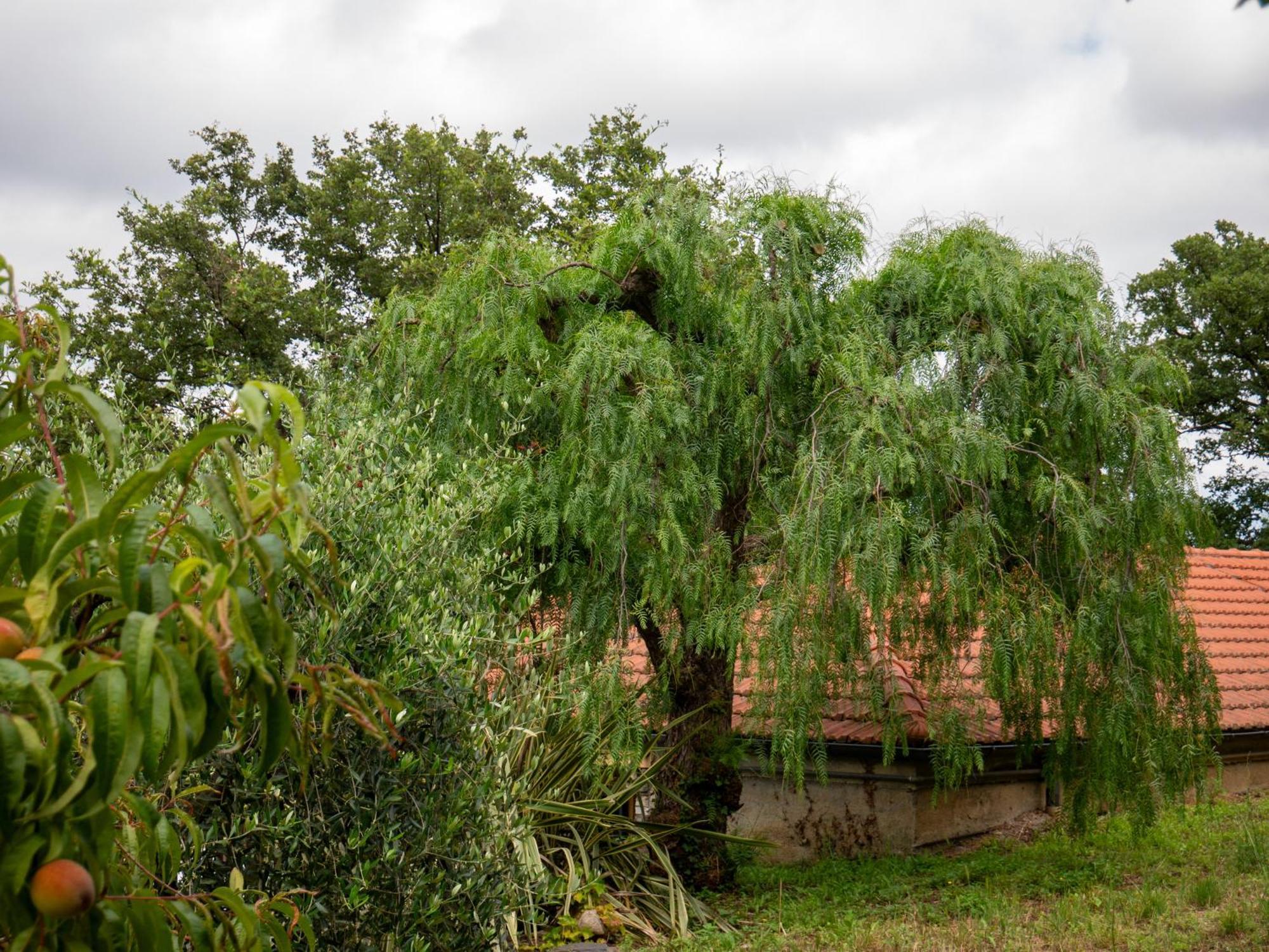 Agri Borgata Vallone - Apartments - By Host4U Lecchiore Exterior foto